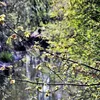 LAMPA SOLARNA LED OGRODOWA NAJAZDOWA GRUNTOWA 4 SZT