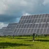 LAMPA SOLARNA 30 LED CZUJNIK RUCH I ZMIERZCHU 4szt