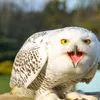 LAMPA SOLARNA LED OGRODOWA OWL SHINES 1szt + 1szt GRATIS