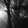 LAMPA SOLARNA Z CZUJNIKIEM RUCHU ZMIERZCHU 264 COB