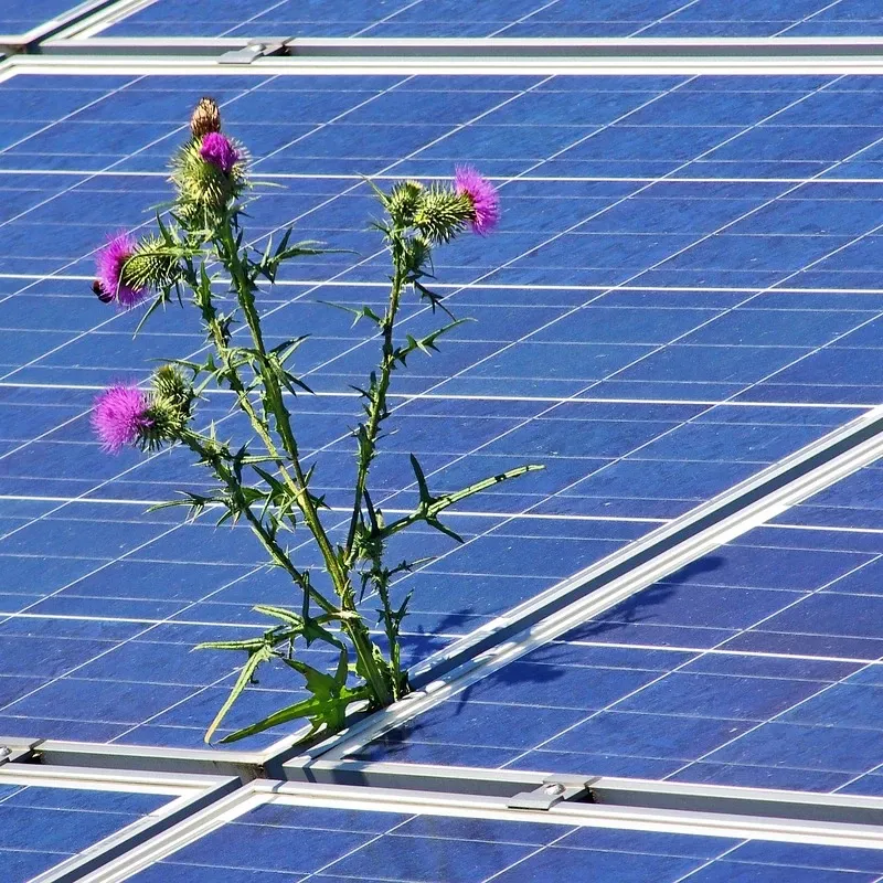 LAMPA SOLARNA Z CZUJNIKIEM RUCHU ZMIERZCHU 264 COB